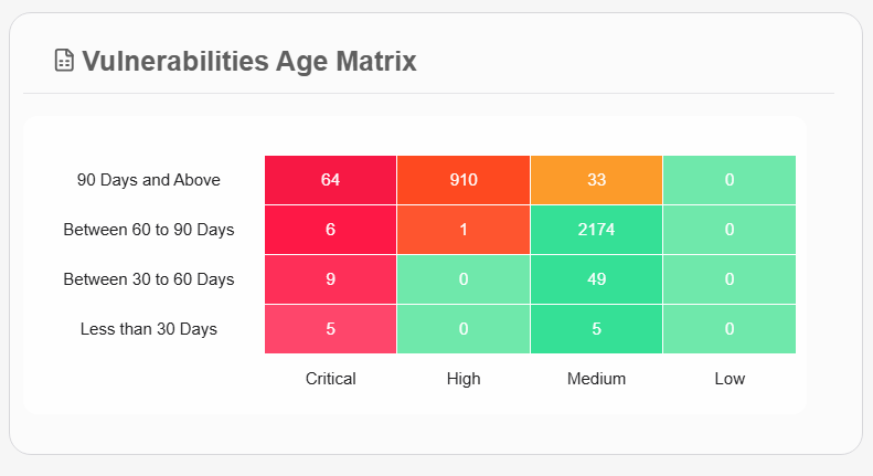 Vulnerability Age Matrix
